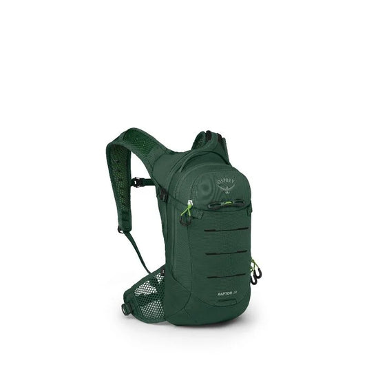 Osprey |  Raptor Jr